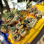 Exotic plants & pets 