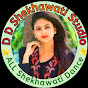 D D Shekhawati Studio