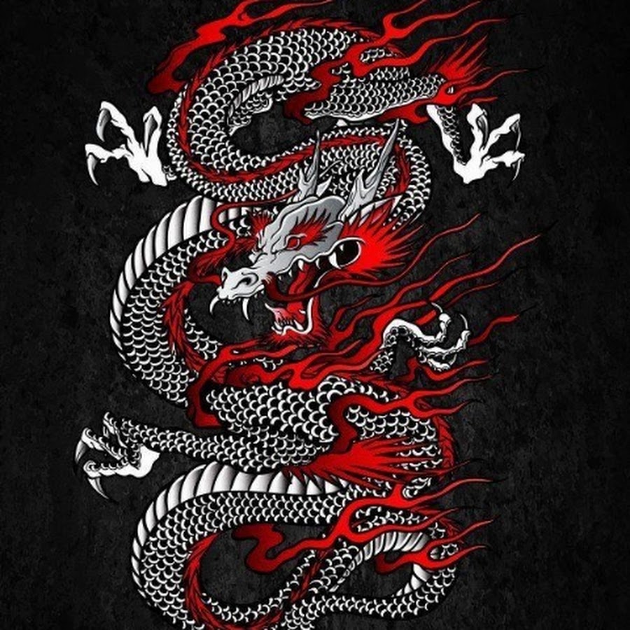 Asia dragon. Японский дракон. Японский дракон принт. Китайский дракон принт. Принты для драконов на руку.