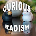 CuriousRadish