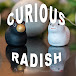 CuriousRadish