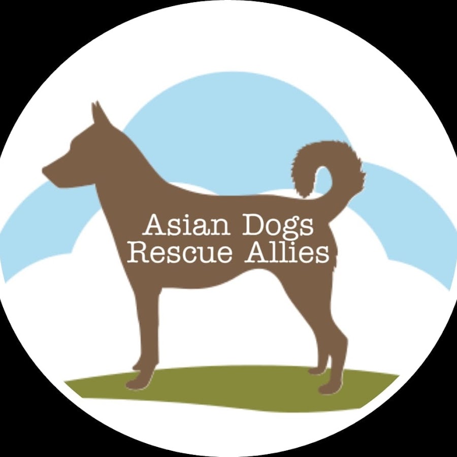 Asia Dog.