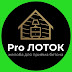 logo Pro Лоток