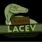 Paleocueva Lacev