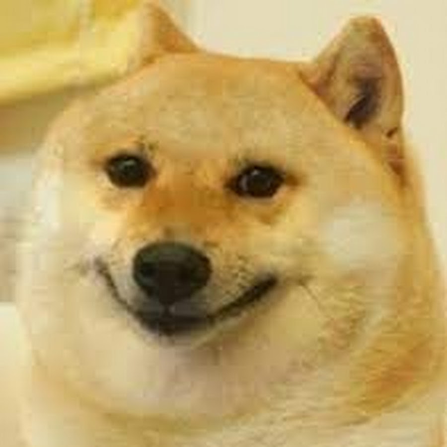 This is doge steam фото 111