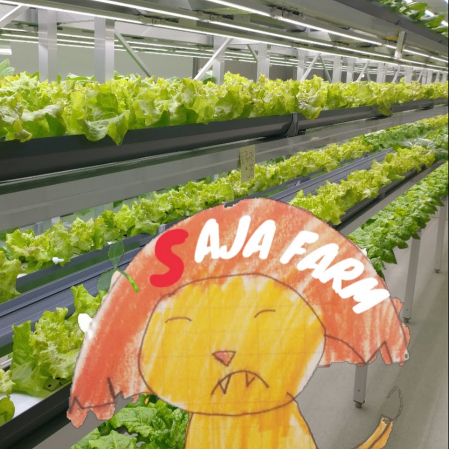 사자팜 SAJA FARM - YouTube 사자팜 SAJA FARM