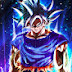 The Unofficial Goku 