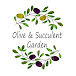 【Olive&Succulentgarden】