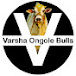 Varsha Ongole Bulls 