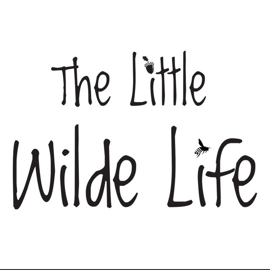 The Little Wilde Life - YouTube The Little Wilde Life