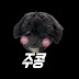 주콩월드🐶