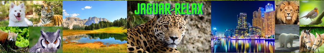 JAGUAR-RELAX