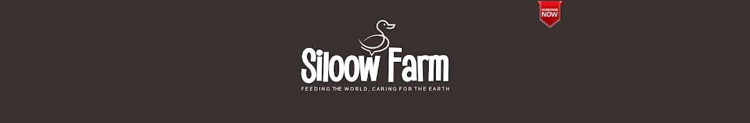 Siloow Farm