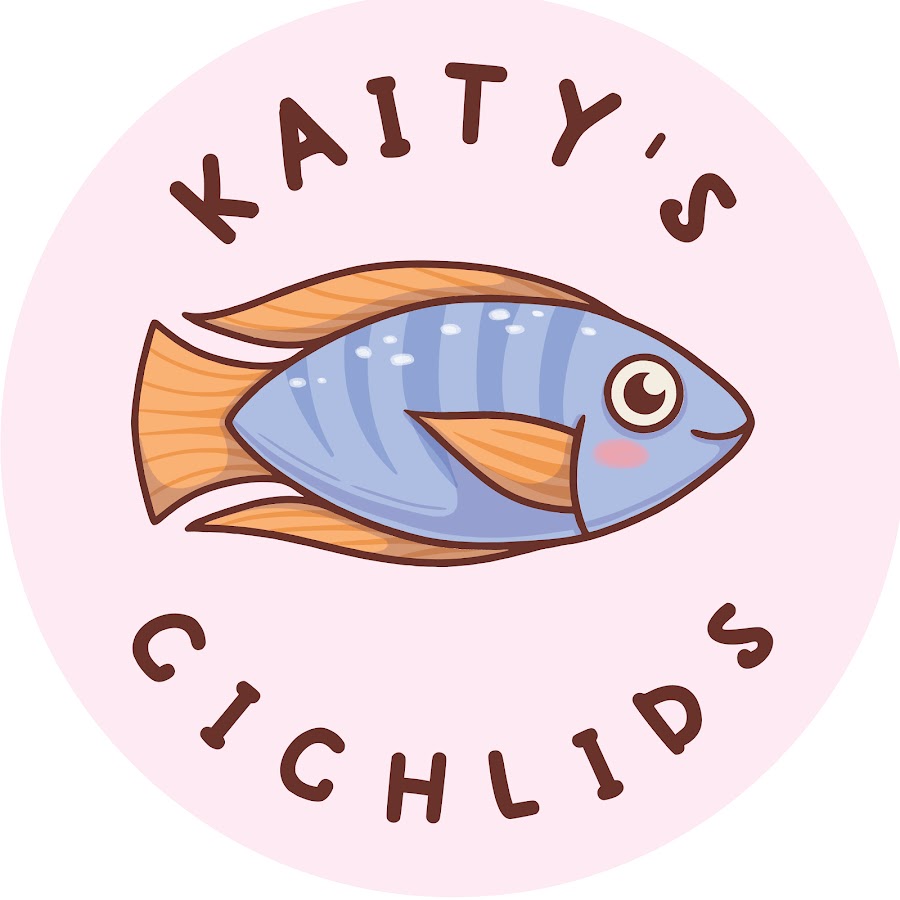 Kaitys Cichlids