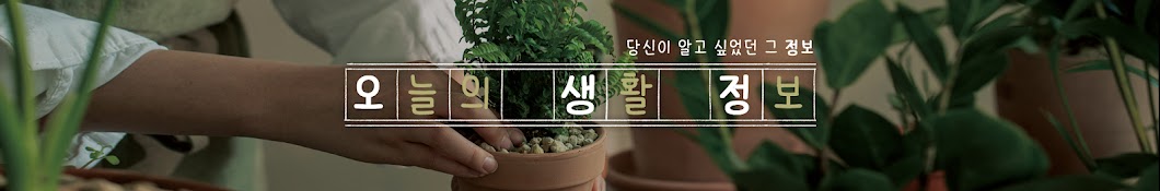 식물저널 오생정