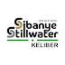 Sibanye-Stillwater’s Keliber lithium project