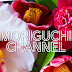 MORIGUCHI CHANNEL