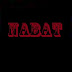 logo Vladimir Nabat