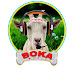 Boka Music