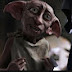 Dobby is free