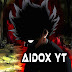 AIDOX YT