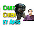 logo Chat Chien et Amis