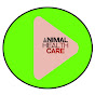 Animal health care kp