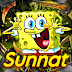 logo Sunnat