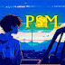 PSM