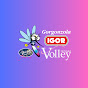 Igor Volley Channel