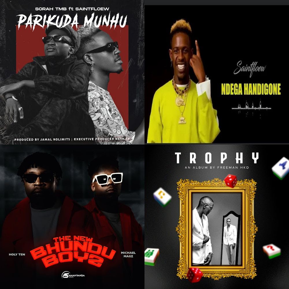 zim music 🎶