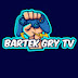 Bartek gry TV