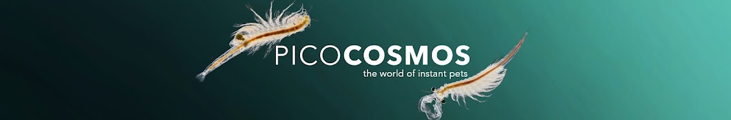 Picocosmos