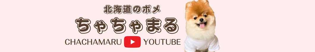 北海道のポメちゃちゃまるとみるてぃ