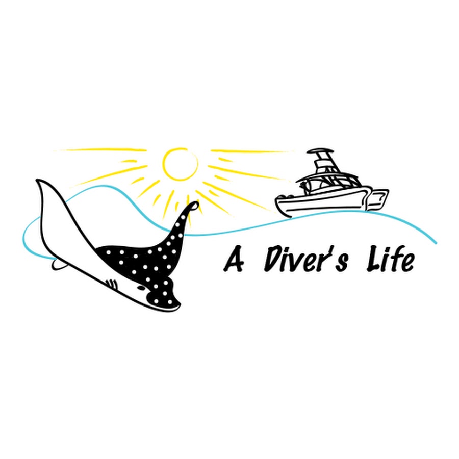 A Diver's Life