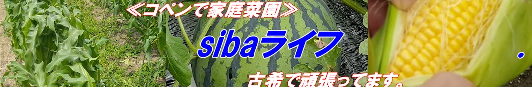 sibaライフ