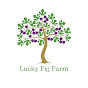 Lucky Fig Farm