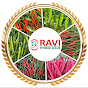 RAVI HYBRID SEEDS