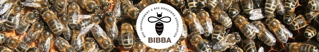 Bee Improvement and Bee Breeders Association BIBBA