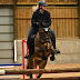 WhizzyWelsh_Eventing