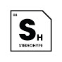 STEREOHYPE