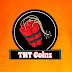 logo TNT Coinz