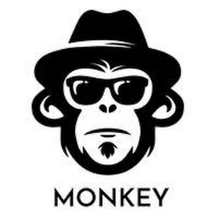 Monkey bots - YouTube