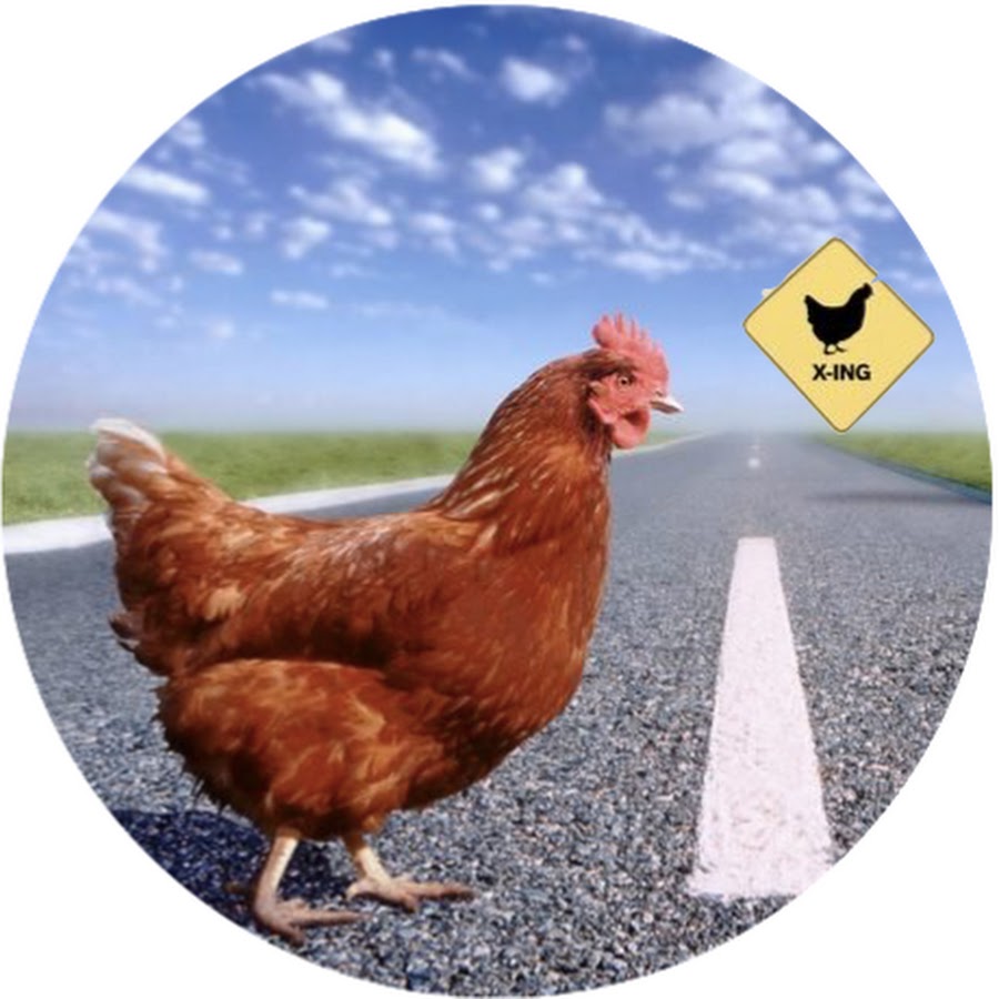 Chicken Cross Road - Youtube