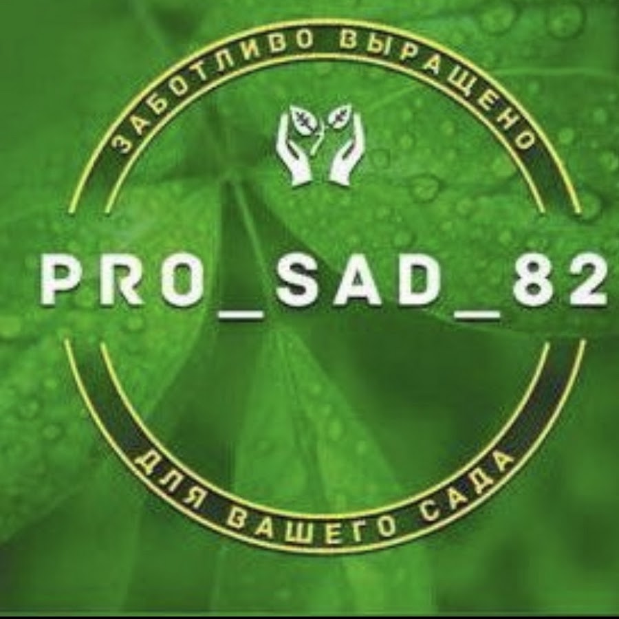 Sad 82