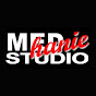 MEDhaniestudio