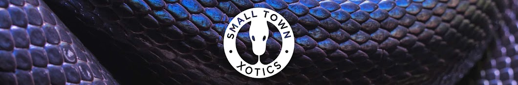 Small Town Xotics Banner