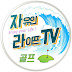 자유인 라이프 TV (골프, 여행, 다이빙)