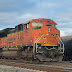 Trains of the BNSF & UP Seattle Sub