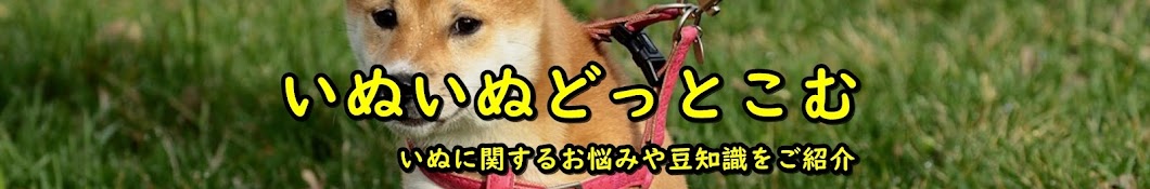 どうぶつ